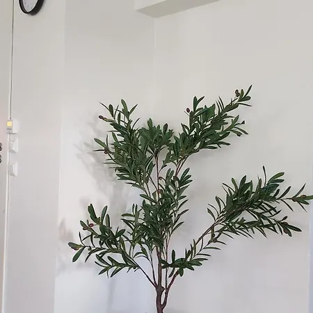 Modern Lyse Fjord Stavanger